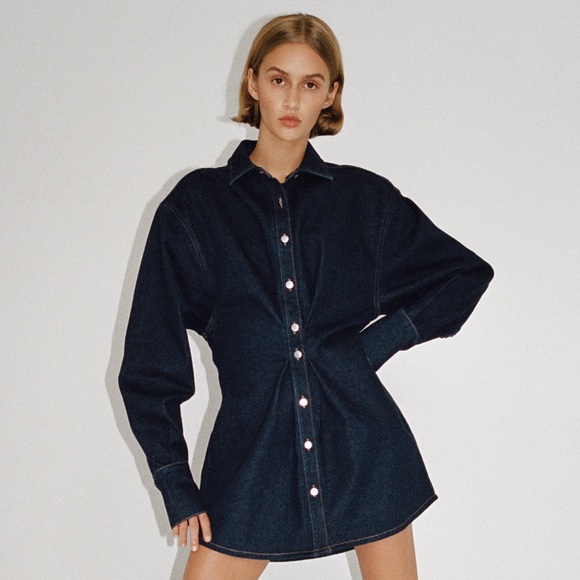 NWT. Denim dress cinches at the waist with no stretch - Picture 1 of 3